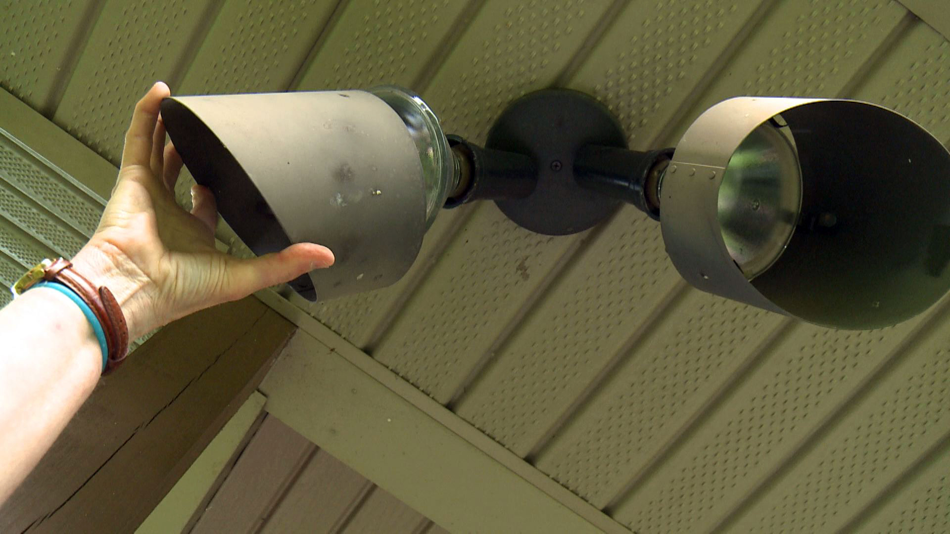 Lights off for the love of lightning bugs